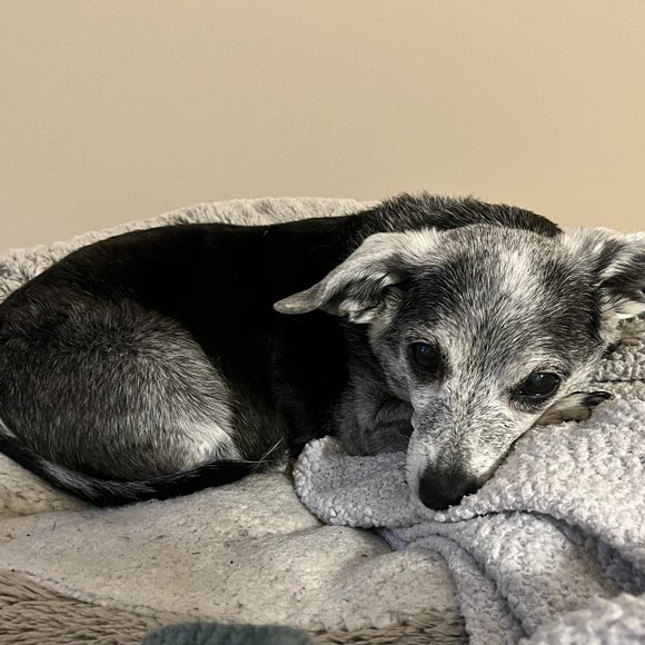 Meet your Posher, Katy - Picture 1 of 1